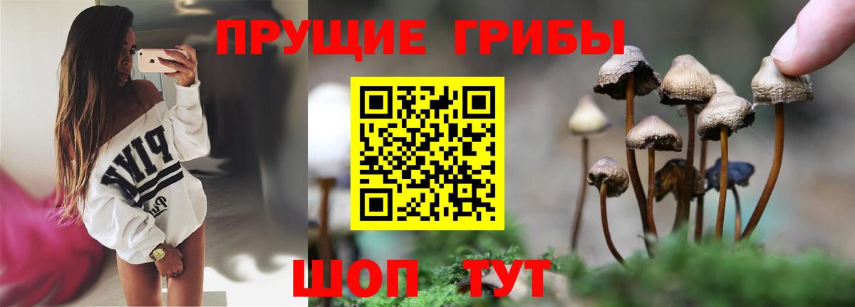 Псилоцибиновые грибы ЛСД  Галлюциногенные грибы мицелий  Узловая  Вход с VPN 
